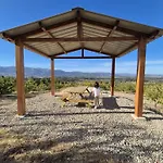 Quinta Do Limite -
