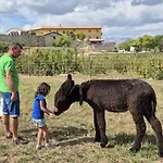 Quinta Do Limite - Covilha