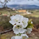 Farm stay Quinta Do Limite -