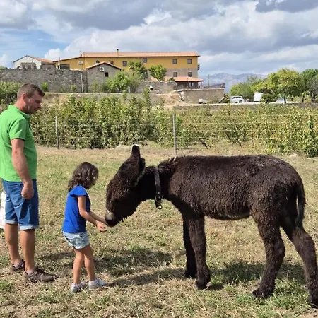 Quinta Do Limite - Covilha