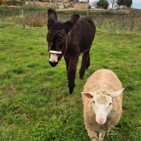 Quinta Do Limite - *