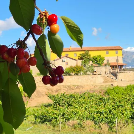 Quinta Do Limite -