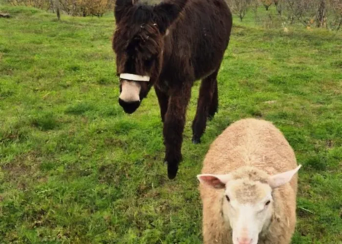 Quinta Do Limite - *